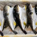 복어마을 이미지