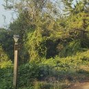 샛별펜션 이미지