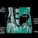 태음 이미지