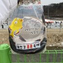 홍천읍사무소 | 2026 홍천강 꽁꽁축제 총정리 | 주차·요금·프로그램·이벤트·낚시터 매진 이용 팁까지