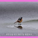 꺼진눈밑 후기 확인 및 체킹하기