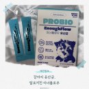 강아지 | [강아지영양제] 알로키친 이너플로우 유산균 강아지 유산균 후기