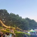별 달 | 해운대 숲속에서 즐긴 콘서트 ㅣ 달너머 별다솜 음악회 후기