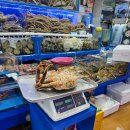 노량진수산시장 킹크랩 시세 예약 가격 주차 88수산