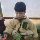 윤가농장 이미지