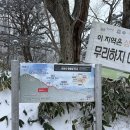 제로웨이스트 양말목 발매트 | (운동제로사람의) 한라산 백록담 올라가기