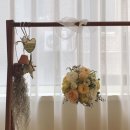 CAM식물 심기 @ poem florist school