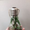 농축산마트 시청점