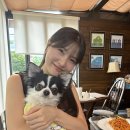 그라비아 아이돌, 하라 츠무기(原つむぎ) 이미지