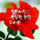 늘처음처럼 이미지