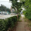 삼정삼거리 이미지