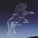 금성PVC종합상사 | 사자자리, 태양이 지배하는 자신감과 존재감의 별자리