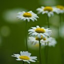 동원 스위트뷰 이미지