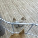 차부미용실