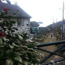 프랑스리조트 이미지