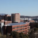 남동태양광발전소 이미지