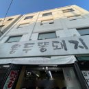 용두똥돼지