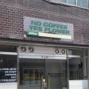 노커피예스플라워