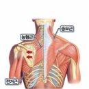 스타짐 계양구청점 이미지