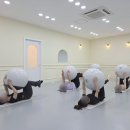천안 발레 골반부터 각선미까지 잡는다고?