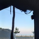 양양 캠핑장 오션뷰 북분솔밭캠핑장 장단점후기 주의사항