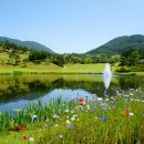 파인힐스컨트리클럽 이미지