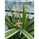 써브 행정사 사무소 이미지