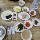 전현무계획 울산 맛집/ 어업인 식당/ 수협 구내식당 현지인 후기와 주변 관광