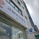 고양이 미용실 방울선생 | 안산고양이미용 [고양이미용실 방울선생 ] 안산고양이 무마취미용하는곳