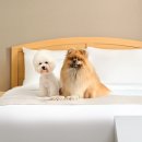 한화호텔앤드리조트(주)제주 이미지