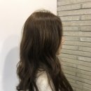요기서헤어
