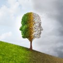 새희망병원 이미지