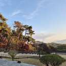 곡교천길 이미지