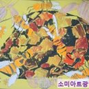 트인아이유치원 이미지