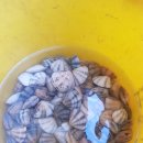 알맹이민박 이미지