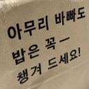 성웅태권도 | 2023.06