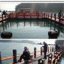 사항어촌계 낚시터 이미지