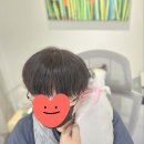 캣치유고양이미용호텔 이미지