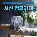 이마트24 서산롯데캐슬 | 서산 정글카페 솔직 후기(동물원 입장료, 주차, 교감체험)