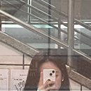 돼지꼬리미용실 이미지