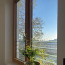 낭만가옥 이미지