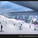 타이거 휘트니스 이미지