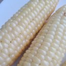 삶은 옥수수, 효능 및 보과방법 이미지