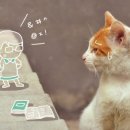 광양동물메디컬센터 이미지