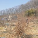 미앤끼미용실 네이버블로그