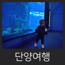 (주)다누리케어 | 단양여행 아이와함께가볼만한곳 단양 다누리아쿠아리움