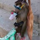 퀸바 네이버블로그