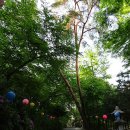 영산각 | 서울 성북구 정릉동 정릉천 우이신설선 북한산보국문역 불교 절 - 조계종 경국사, 보물 748호 서울...