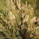 메디컴바인 이미지