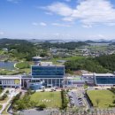 섬 우럭축제 미디어전남